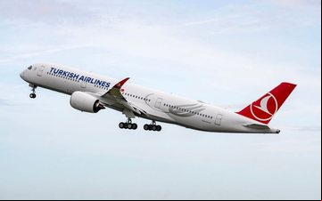Companhia aérea turca diminui de sete para seis voos semanais na rota entre Istambul, São Paulo e Buenos Aires em setembro - Divulgação